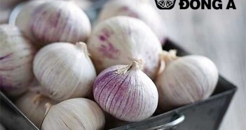 Tự làm tỏi đen tại nhà- tỏi đen bị đắng toi-co-don